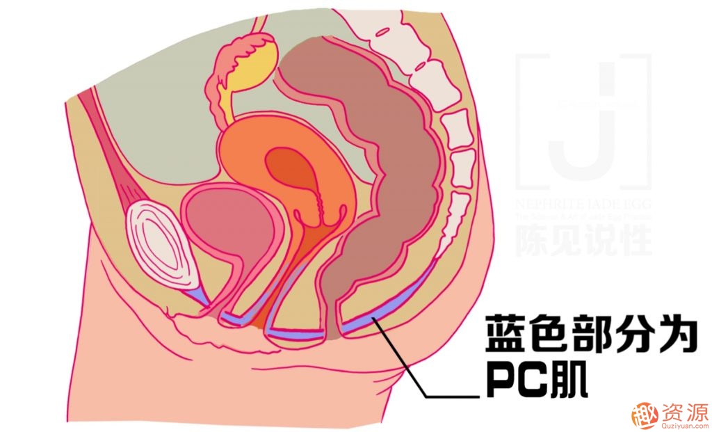 女性朋友怎么練習(xí)玉蛋功？玉蛋功鍛煉詳解插圖