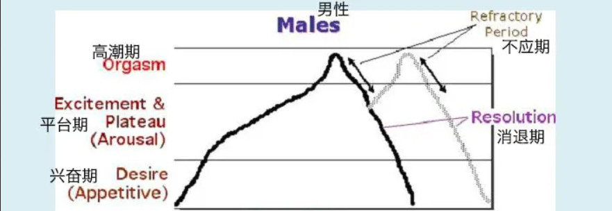 令人迷惑的“賢者模式”，抽搐后索然無味插圖1