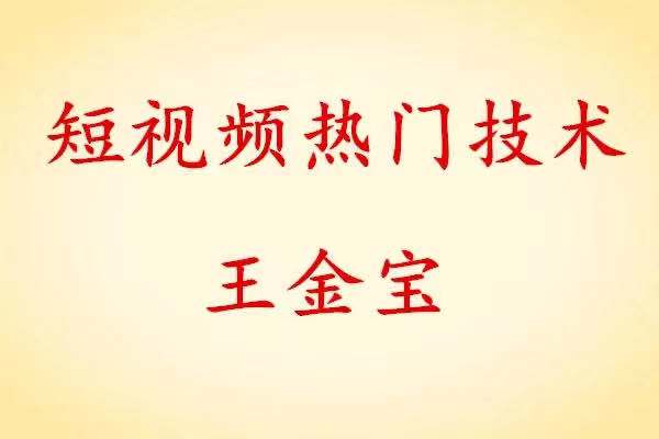 王金寶短視頻熱門(mén)技術(shù)百度網(wǎng)盤(pán)分享 百度網(wǎng)盤(pán)插圖