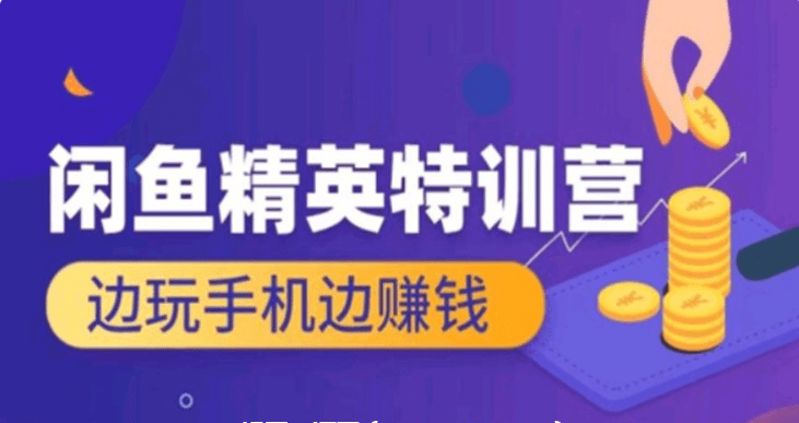 翼牛學(xué)堂：閑魚精英特訓(xùn)營進階班，邊玩手機邊賺錢價值4999元-百度云網(wǎng)盤教程視頻插圖