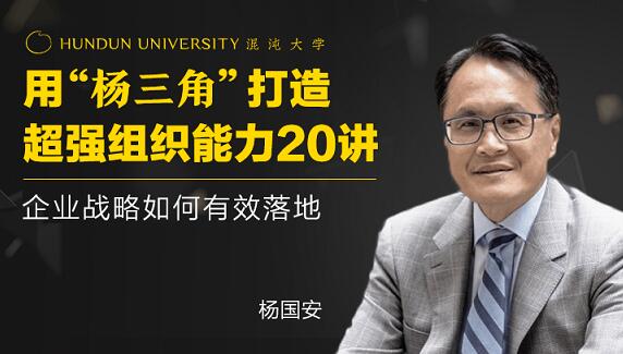 楊國安《打造超強組織能力20講》企業(yè)戰(zhàn)略如何有效落地_百度云網(wǎng)盤教程視頻插圖