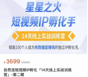 瑤瑤?自然流短視頻IP孵化第二期，成為有數(shù)據(jù)能賺錢的獨(dú)立IP孵化手百度網(wǎng)盤插圖