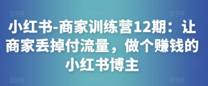 小紅書-商家訓(xùn)練營(yíng)12期：讓商家丟掉付流量，做賺錢小紅書博主百度網(wǎng)盤插圖