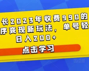 D1G館長(zhǎng)2023年收費(fèi)990的抖音小程序變現(xiàn)新玩法百度網(wǎng)盤(pán)插圖