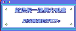 微信搜一搜引流全系列課程，日引精準粉500+（8節(jié)課）百度網(wǎng)盤插圖