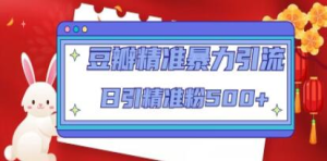 豆瓣精準暴力引流，日引精準粉500+【12課時】百度網(wǎng)盤插圖