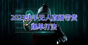 2023快手無人直播帶貨爆單教程，可批量放大操作百度網(wǎng)盤插圖