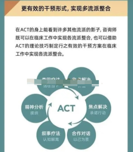 ACT療法實(shí)錄與訪談（創(chuàng)始人親授）百度網(wǎng)盤插圖