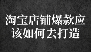 冠東?爆款店鋪淘系爆款選品方法，一個(gè)好選品思路決定是否盈利百度網(wǎng)盤插圖