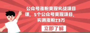 公眾號(hào)漲粉變現(xiàn)實(shí)戰(zhàn)項(xiàng)目課，5個(gè)公眾號(hào)變現(xiàn)，漲粉23萬百度網(wǎng)盤插圖