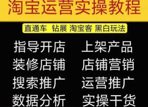 2023淘寶開店教程0基礎到高級全套視頻網(wǎng)店電商運營培訓教學課程（2月更新）百度網(wǎng)盤插圖