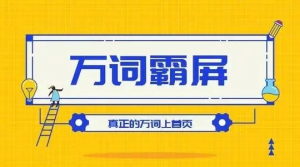 百度萬詞霸屏實(shí)操項(xiàng)目引流課，30天霸屏10萬關(guān)鍵詞百度網(wǎng)盤插圖