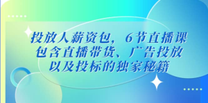 三里屯?投放人薪資包，6節(jié)直播課，直播帶貨、廣告投放獨(dú)家秘籍百度網(wǎng)盤插圖