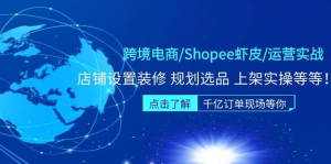 跨境電商Shopee蝦皮運(yùn)營(yíng)實(shí)操直播課（10節(jié)系統(tǒng)課）百度網(wǎng)盤插圖