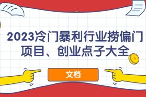 2023冷門暴利行業(yè)撈偏門項目、創(chuàng)業(yè)點子大全（文檔）百度網(wǎng)盤插圖