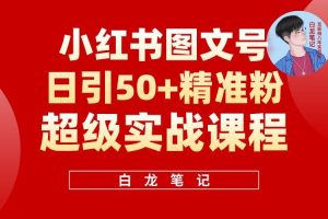 小紅書圖文號日引50+精準流量，新手小白實戰(zhàn)的小紅書引流課百度網盤插圖