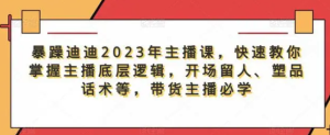 暴躁迪迪2023年主播課，快速教你掌握主播底層邏輯，開場留人塑品話術(shù)等，帶貨主播必學百度網(wǎng)盤插圖