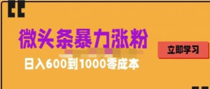 微頭條暴力漲粉技巧搬運文案就能漲幾萬粉絲，0成本日賺600百度網盤插圖