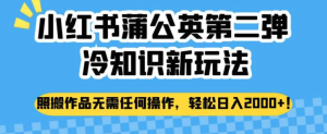 小紅書蒲公英冷知識(shí)新玩法，照搬作品賺錢副業(yè)百度網(wǎng)盤插圖