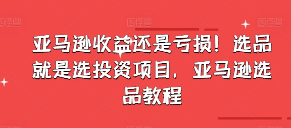 亞馬遜收益還是虧損！選品就是選投資項目，亞馬遜選品教程插圖