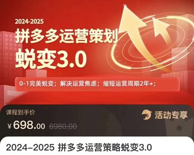 【電商上新】083.大力·2024-2025拼多多運(yùn)營(yíng)策略蛻變3.0 0~1完美蛻變，解決信息焦慮