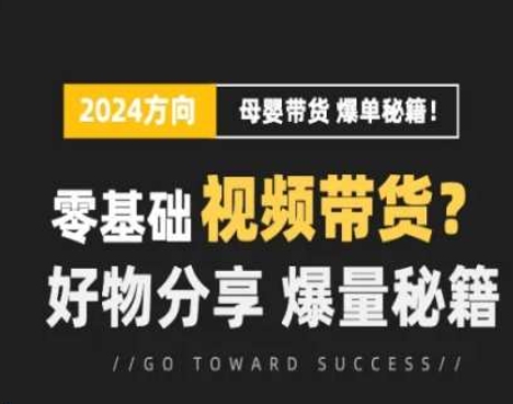 短視頻母嬰賽道實操流量訓練營，零基礎視頻帶貨，好物分享，爆量秘籍插圖