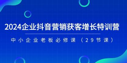 《企業(yè)抖音-營(yíng)銷獲客增長(zhǎng)特訓(xùn)營(yíng)》中小企業(yè)老板必修課插圖