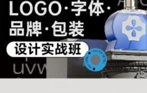 【設計上新】226. 盧帥logo字體品牌包裝設計實戰(zhàn)班第5期【畫質不錯有大部分素材】