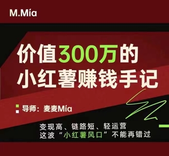 【抖音上新】價(jià)值300萬的小紅書賺錢手記 變現(xiàn)高、鏈路短、輕運(yùn)營，這波“小紅薯風(fēng)口”不能再錯(cuò)過。