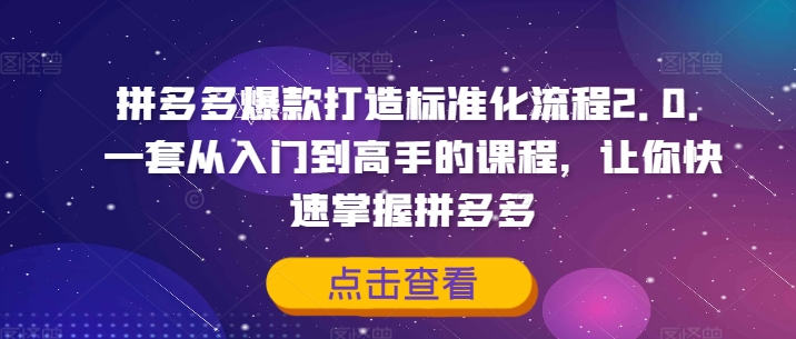 拼多多爆款打造標準化流程2.0，一套從入門到高手的課程，讓你快速掌握拼多多插圖