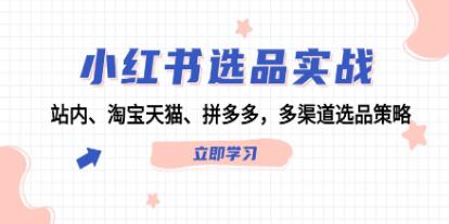 《小紅書選品實戰(zhàn)》站內(nèi)、淘寶天貓、拼多多，多渠道選品策略插圖