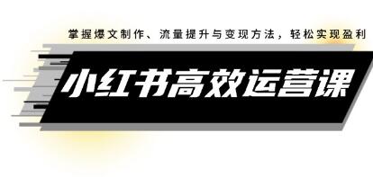 《小紅書高效運(yùn)營課》掌握爆文制作、流量提升與變現(xiàn)方法，輕松實(shí)現(xiàn)盈利插圖