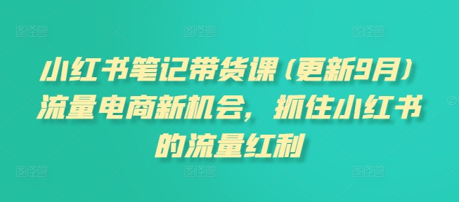 小紅書(shū)筆記帶貨課(更新9月)流量電商新機(jī)會(huì)，抓住小紅書(shū)的流量紅利